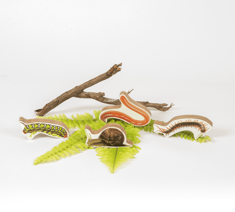 GrapplerTodd - Wooden Insects Toy Set