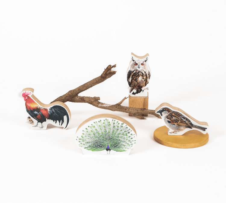 GrapplerTodd - Wooden Birds Toy Set