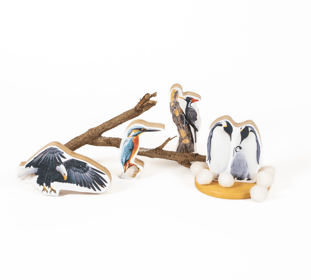 GrapplerTodd - Wooden Birds Toy Set