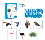 birds flash cards 