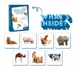 Animals and their young ones flashcards