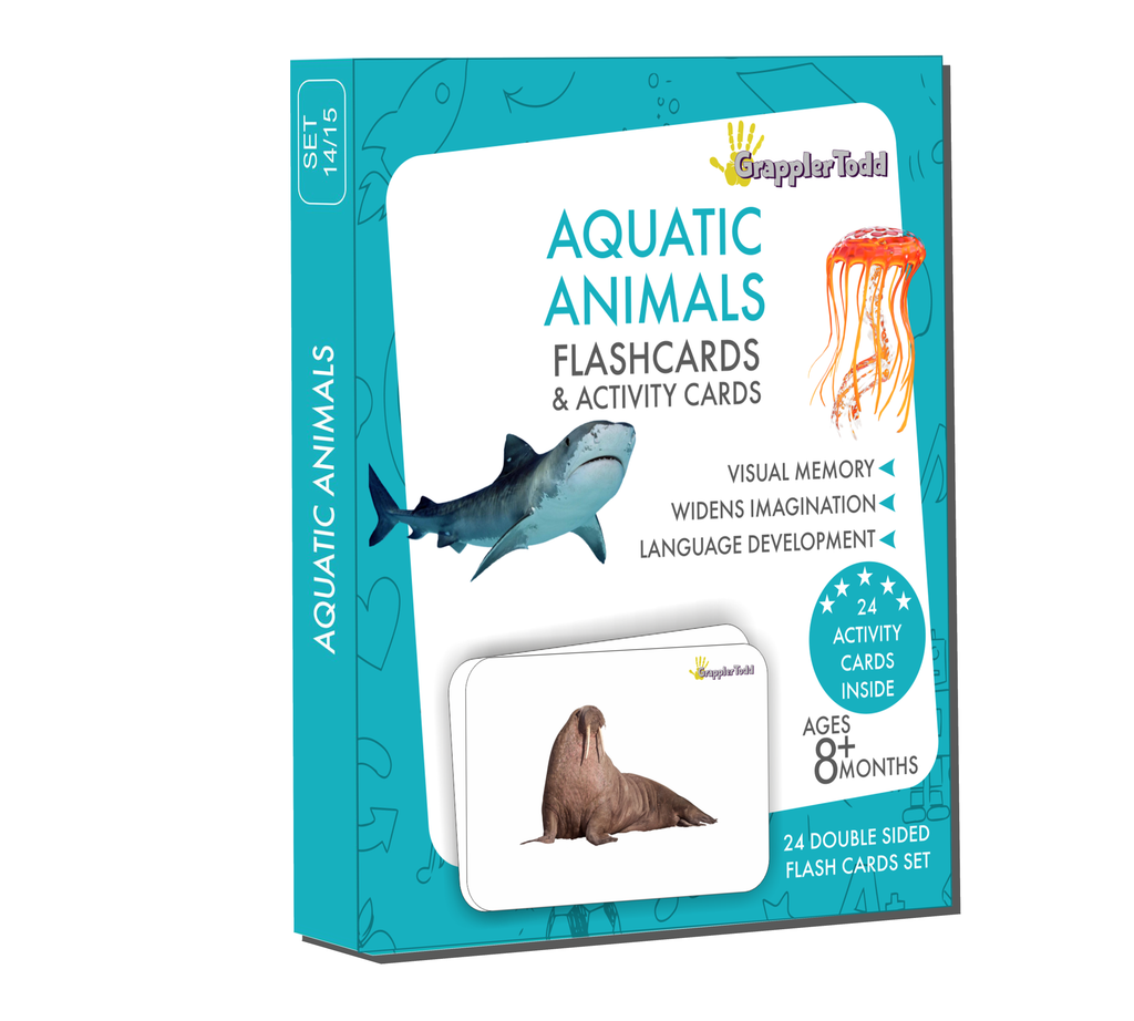 ocean animals flashcards 