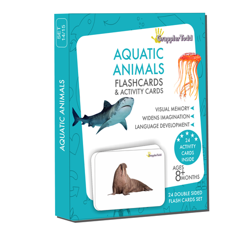 ocean animals flashcards 