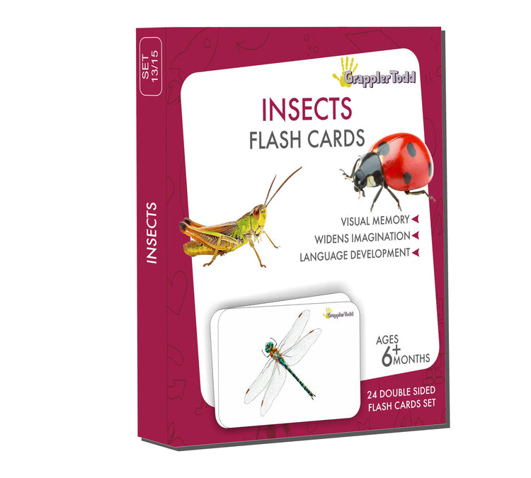 Insects flash cards 