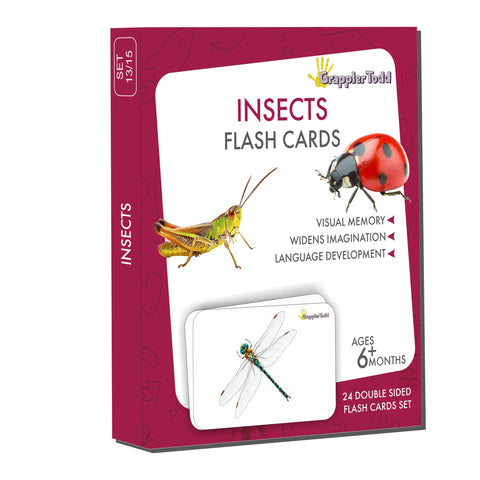 Insects flash cards 