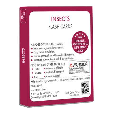 Insects flash cards 