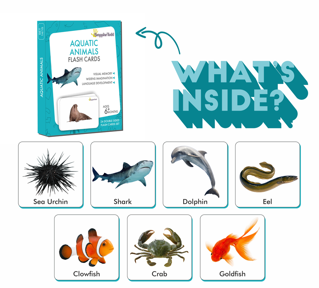 aquatic animals flash cards 