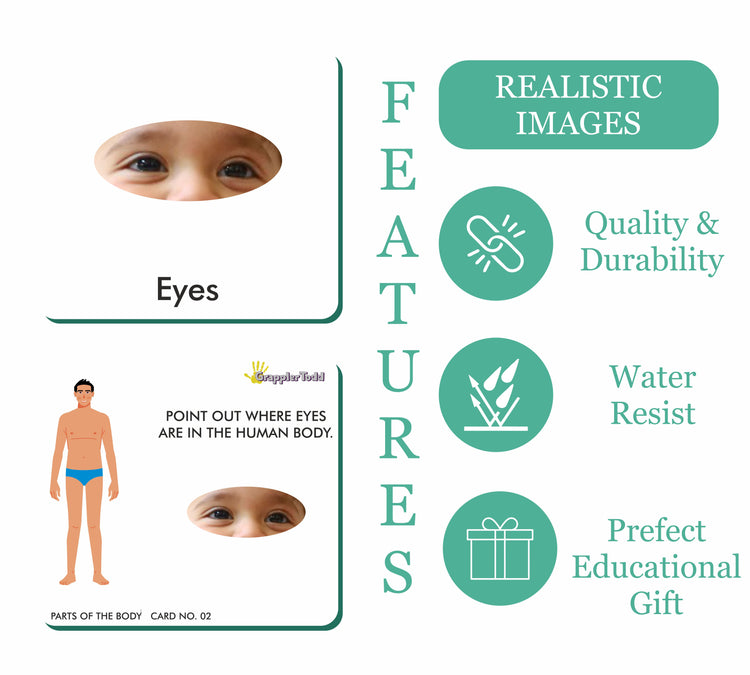 childrens body parts flashcards 