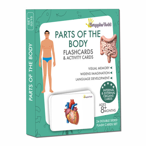 body parts flashcards 