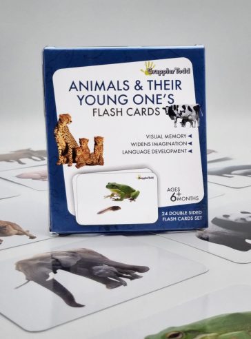 GrapplerTodd Early Learning - Animals & Their Young Ones Flashcards