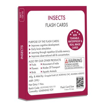 GrapplerTodd Early Learning - Insects Flashcards